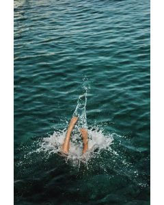 Longevity Deep Dive