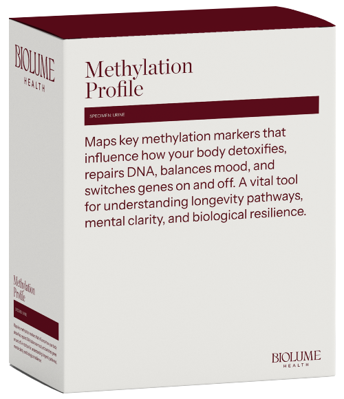 Methylation Profile
